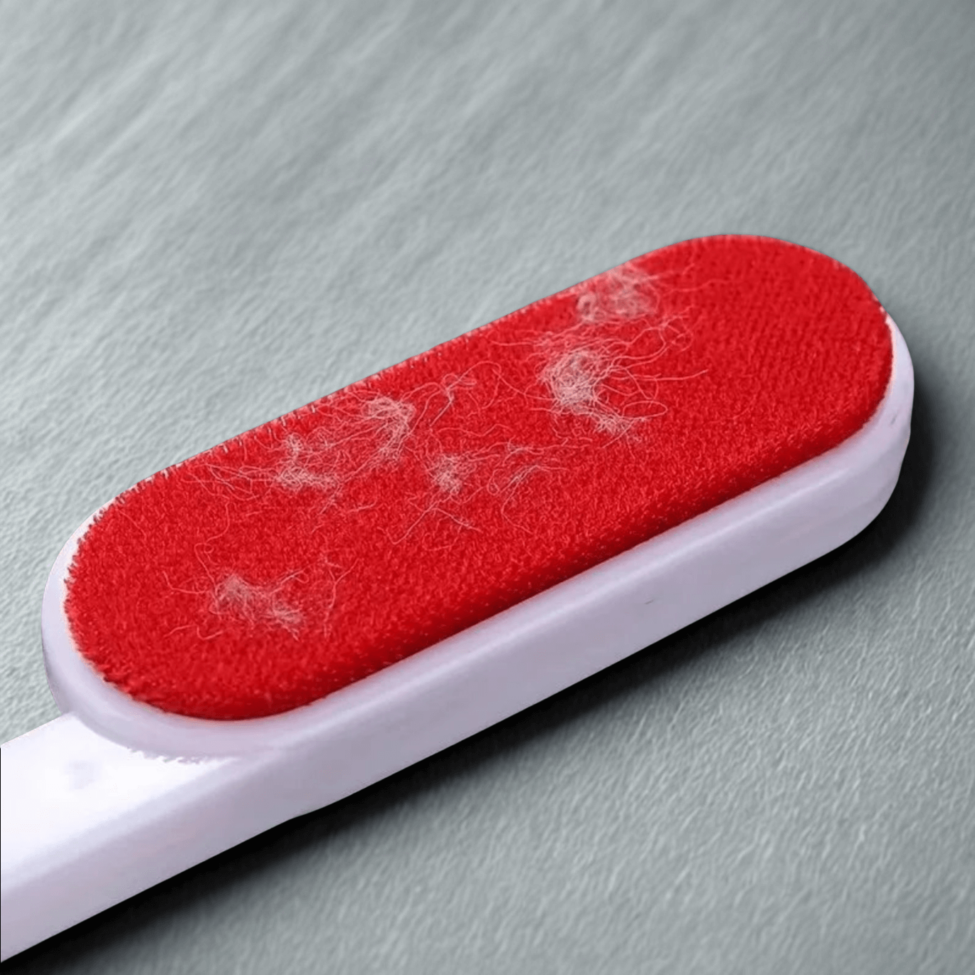 Brosse Anti-Poils Double Face