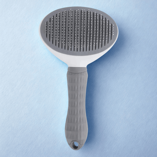 Brosse Auto-Nettoyante Anti-Poils