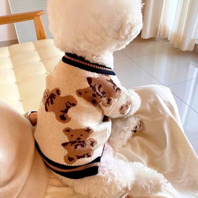 Cardigan Chien et Chat